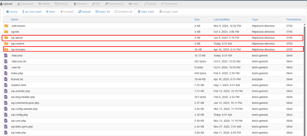 Replacing wordpress files
